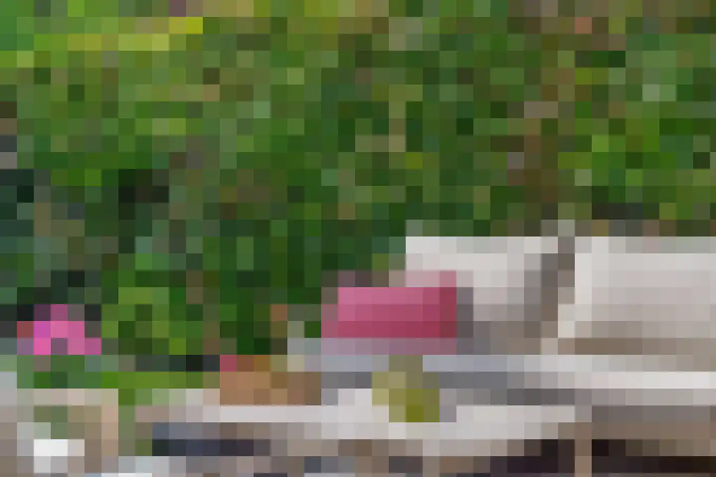 Klimvaren 9 Rotterdam thumbnail 32