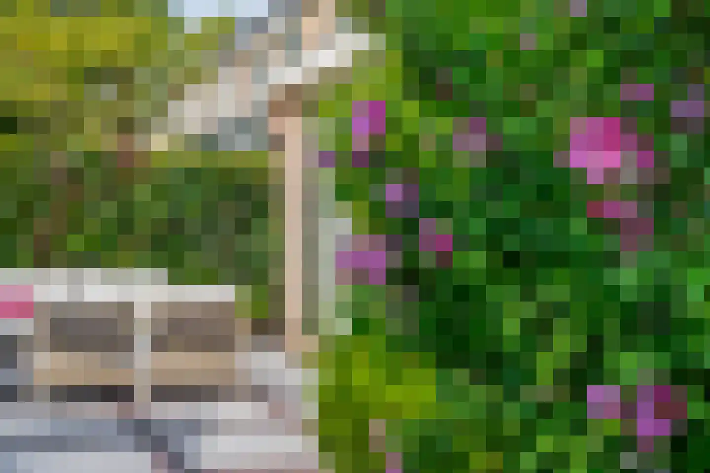 Klimvaren 9 Rotterdam thumbnail 33
