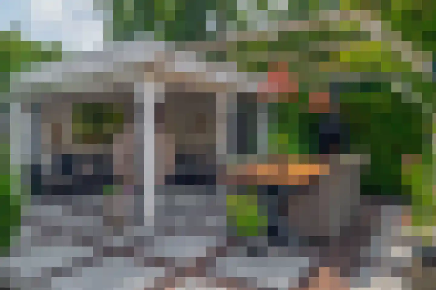 Klimvaren 9 Rotterdam thumbnail 34