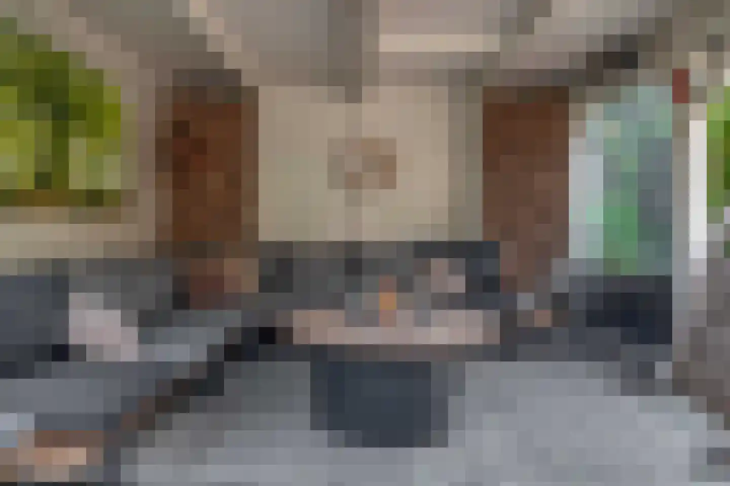 Klimvaren 9 Rotterdam thumbnail 37