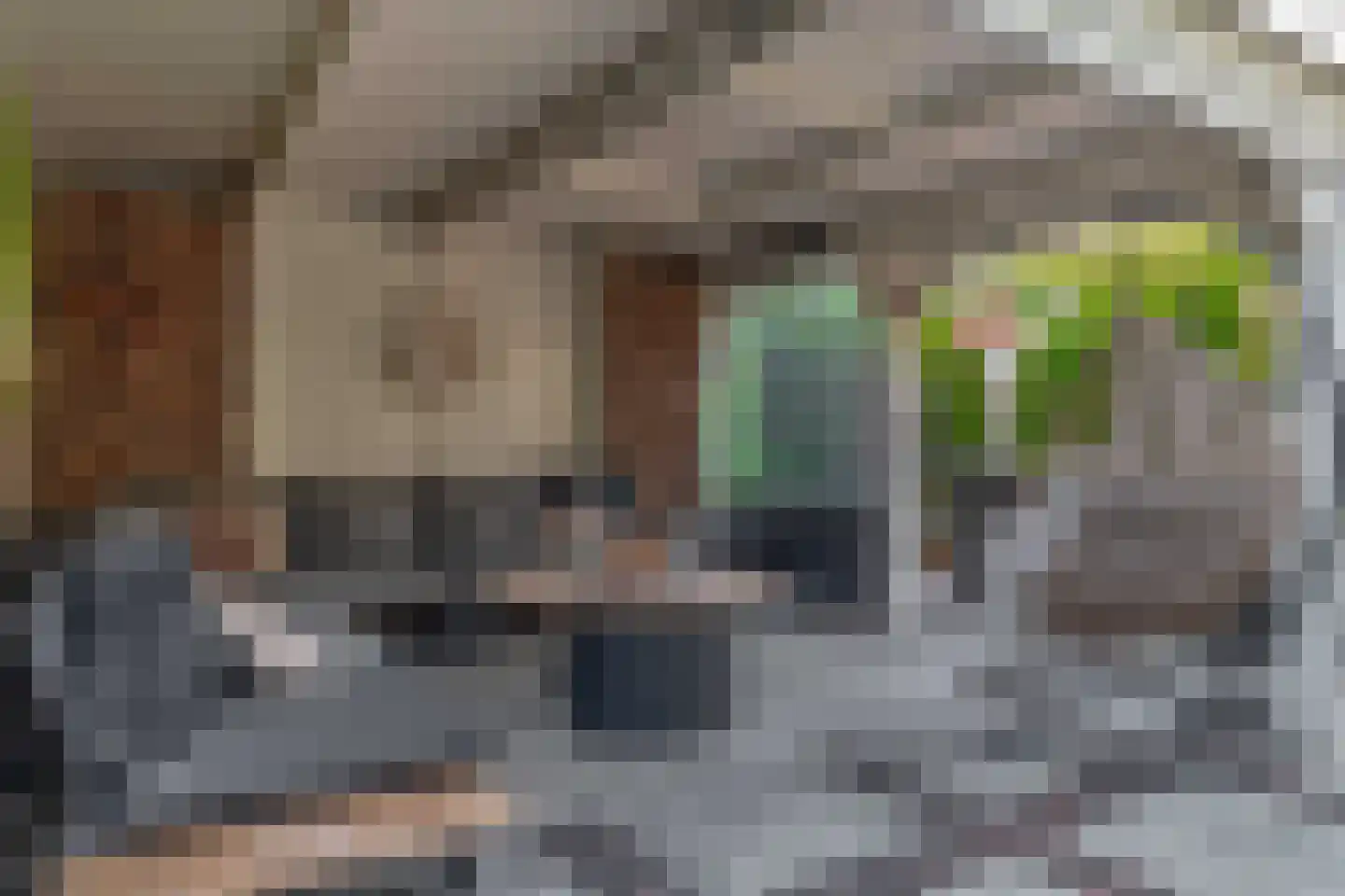 Klimvaren 9 Rotterdam thumbnail 38