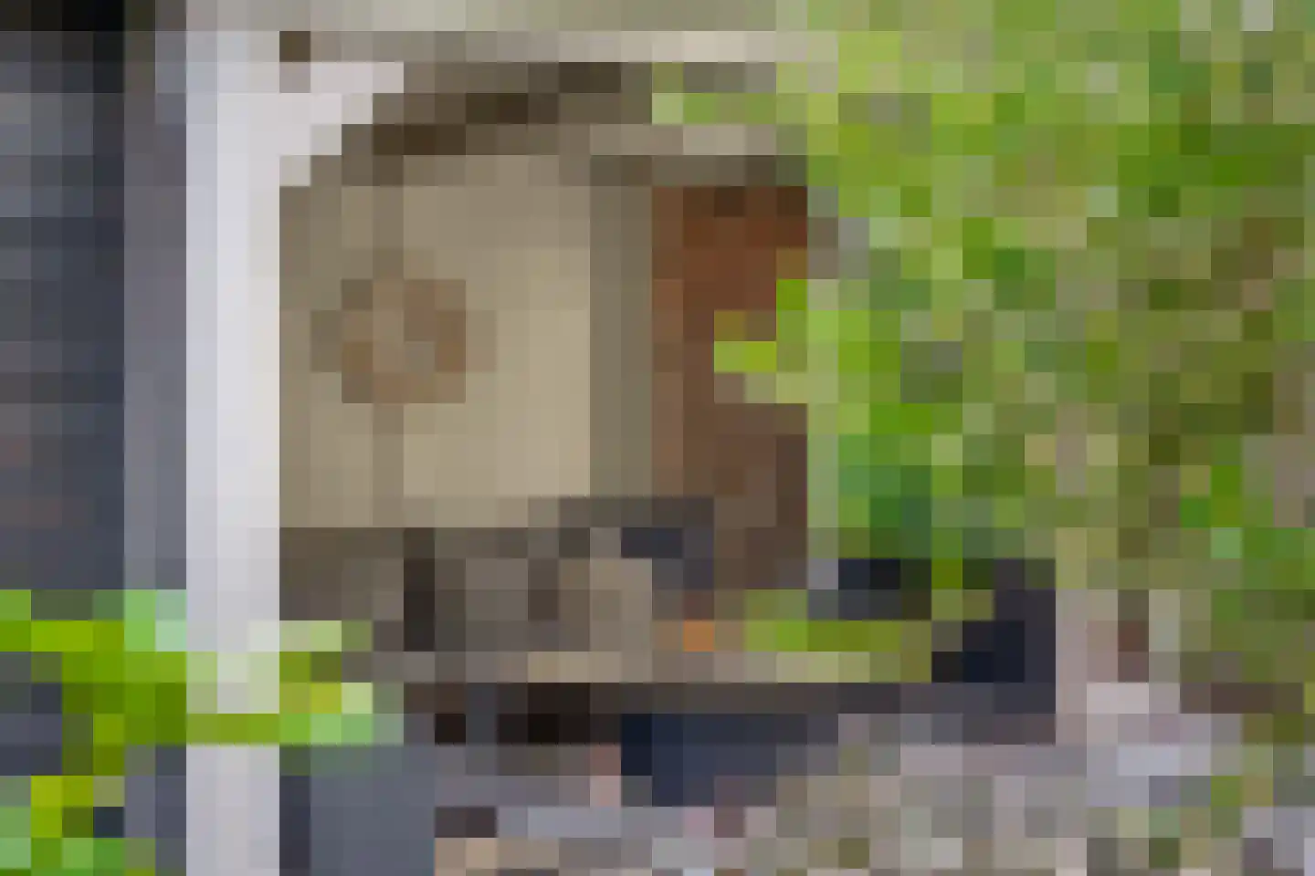 Klimvaren 9 Rotterdam thumbnail 39