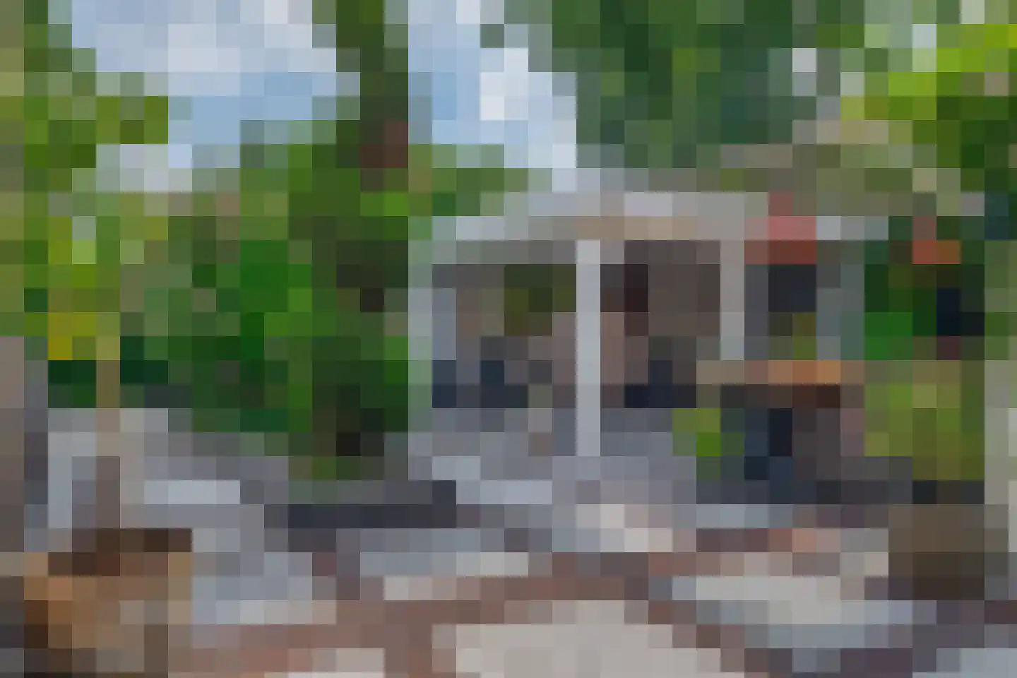 Klimvaren 9 Rotterdam thumbnail 4