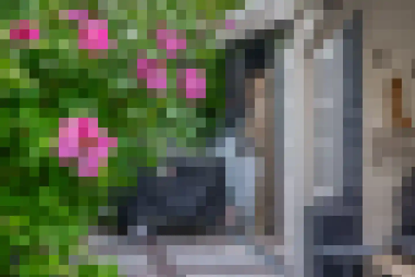 Klimvaren 9 Rotterdam thumbnail 41