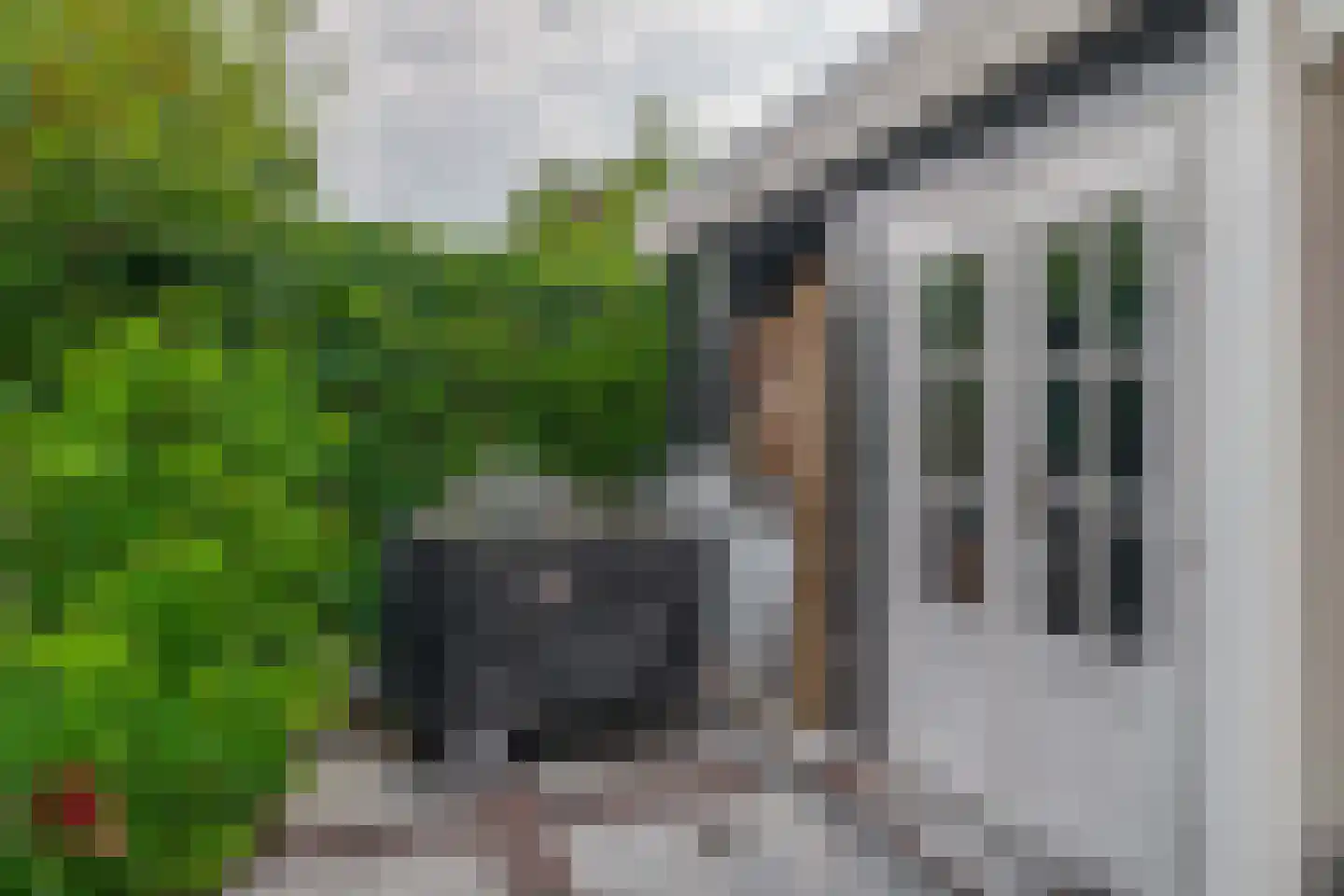 Klimvaren 9 Rotterdam thumbnail 42
