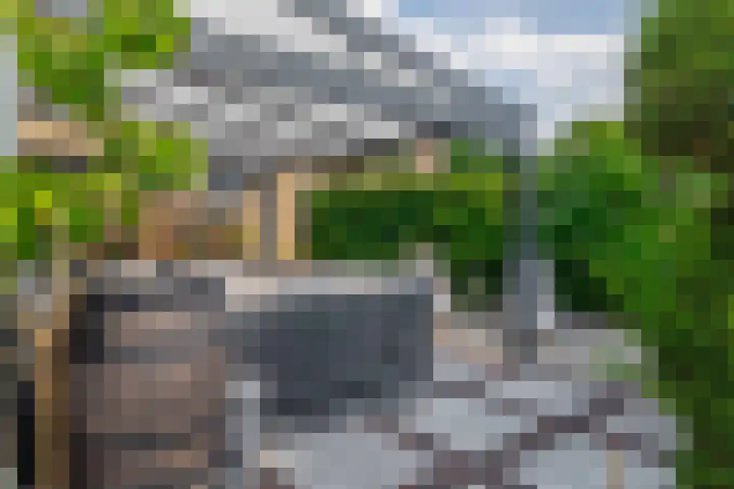 Klimvaren 9 Rotterdam thumbnail 43