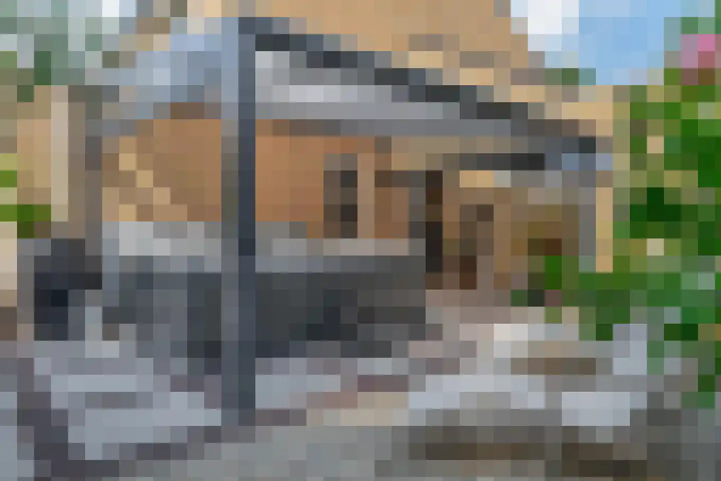 Klimvaren 9 Rotterdam thumbnail 44