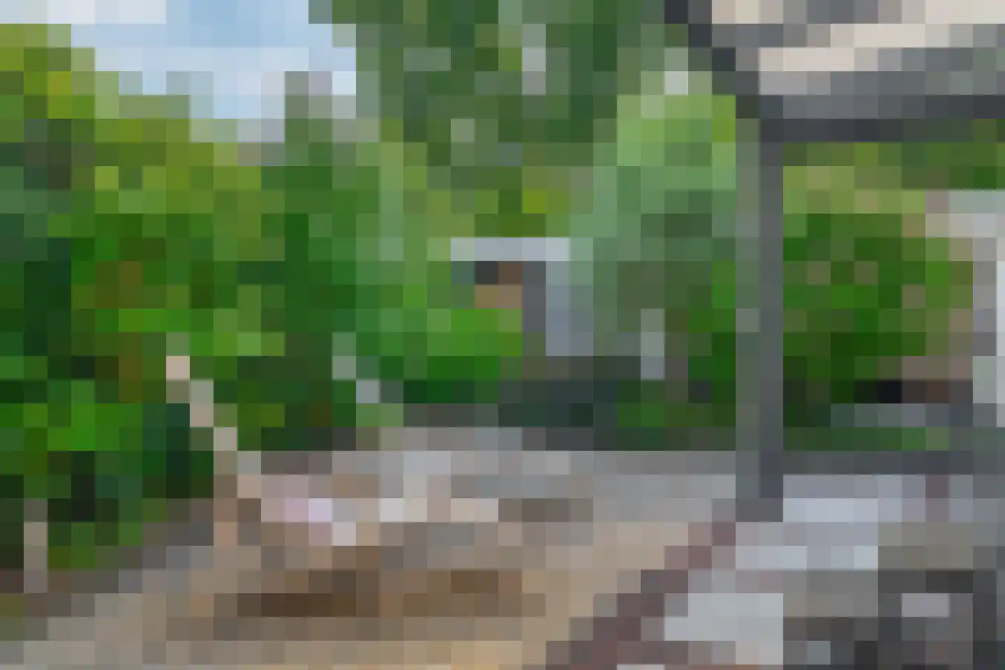 Klimvaren 9 Rotterdam thumbnail 45