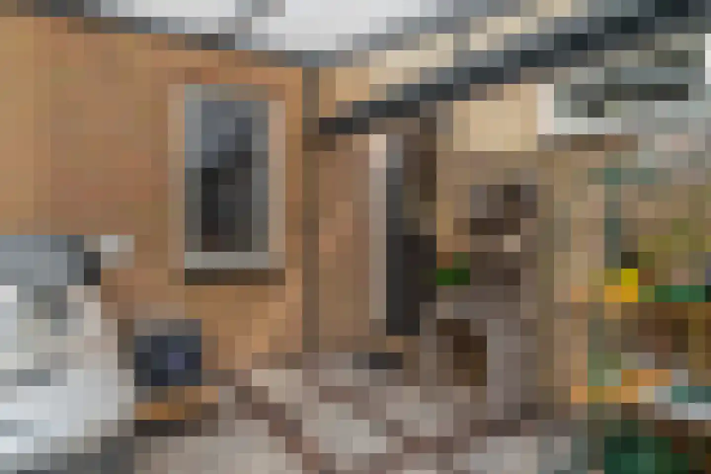 Klimvaren 9 Rotterdam thumbnail 46