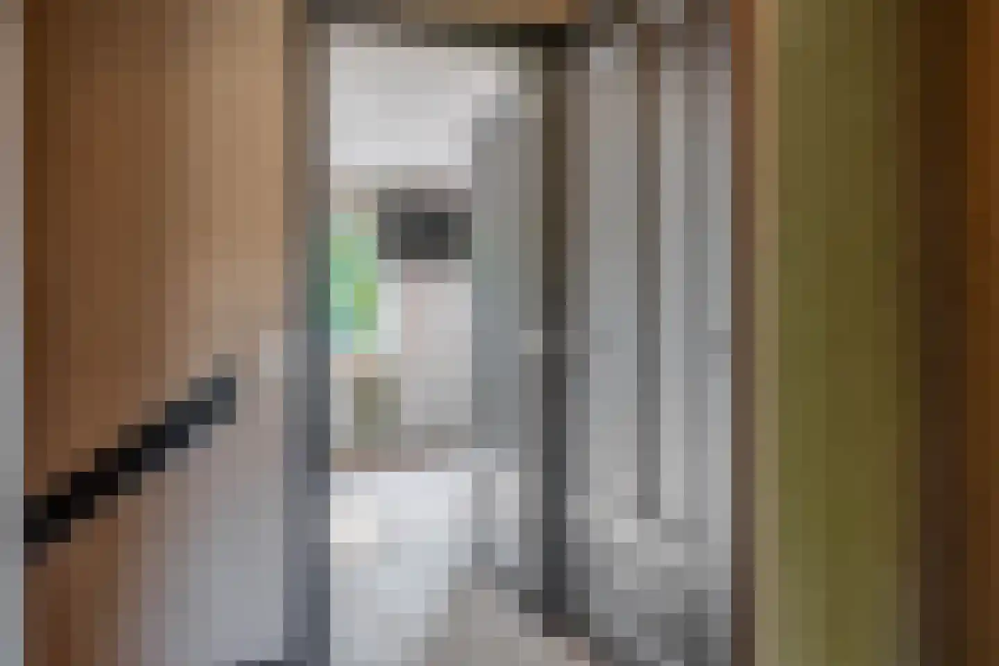 Klimvaren 9 Rotterdam thumbnail 47