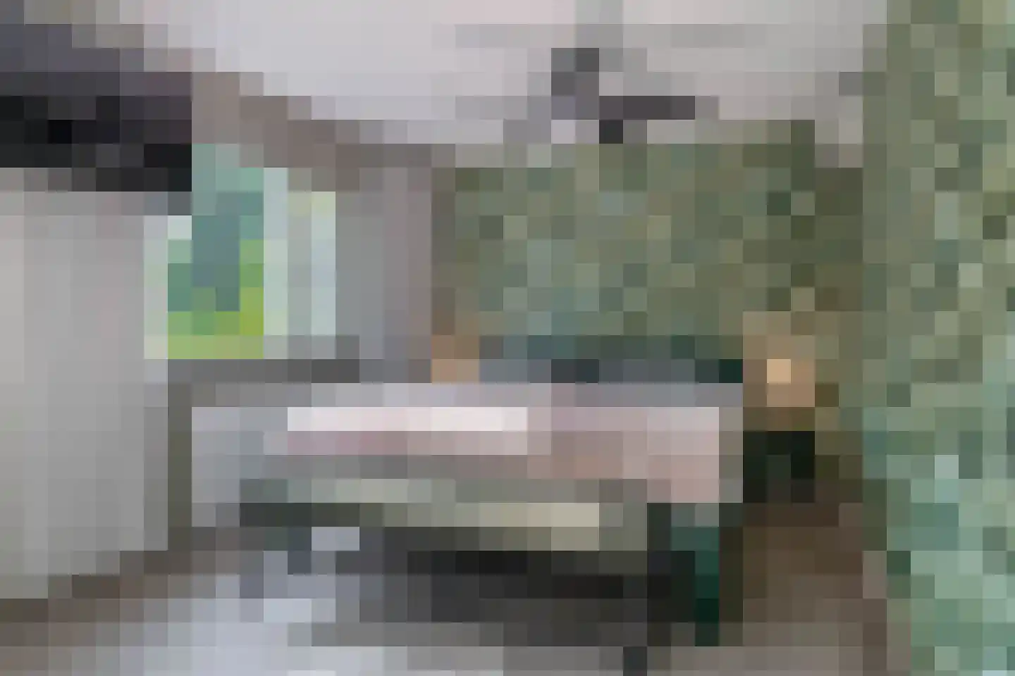 Klimvaren 9 Rotterdam thumbnail 48