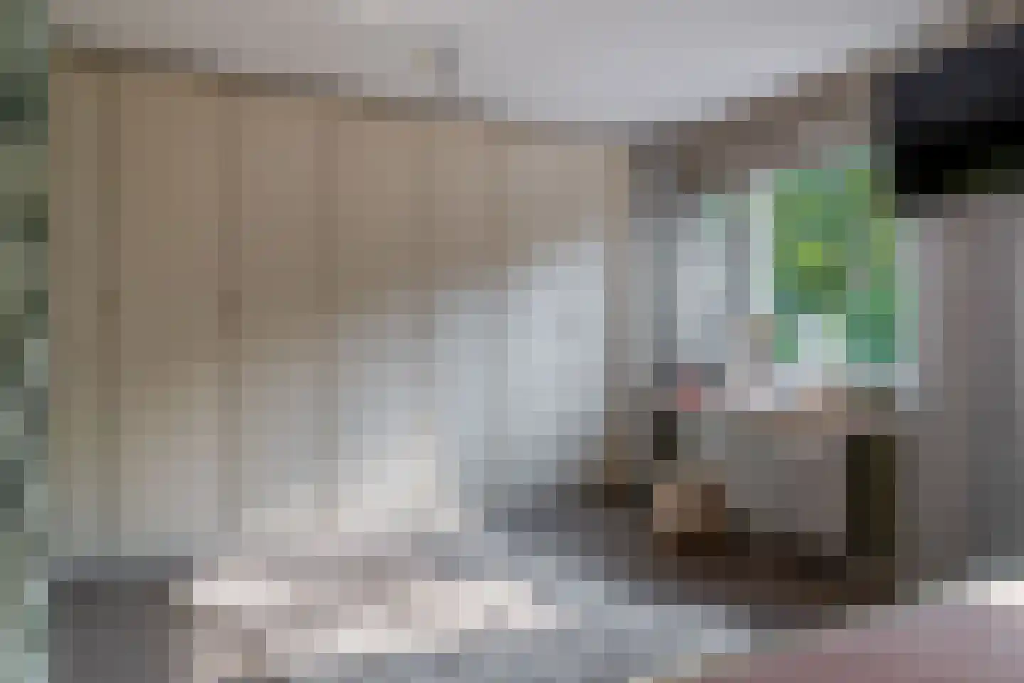 Klimvaren 9 Rotterdam thumbnail 49