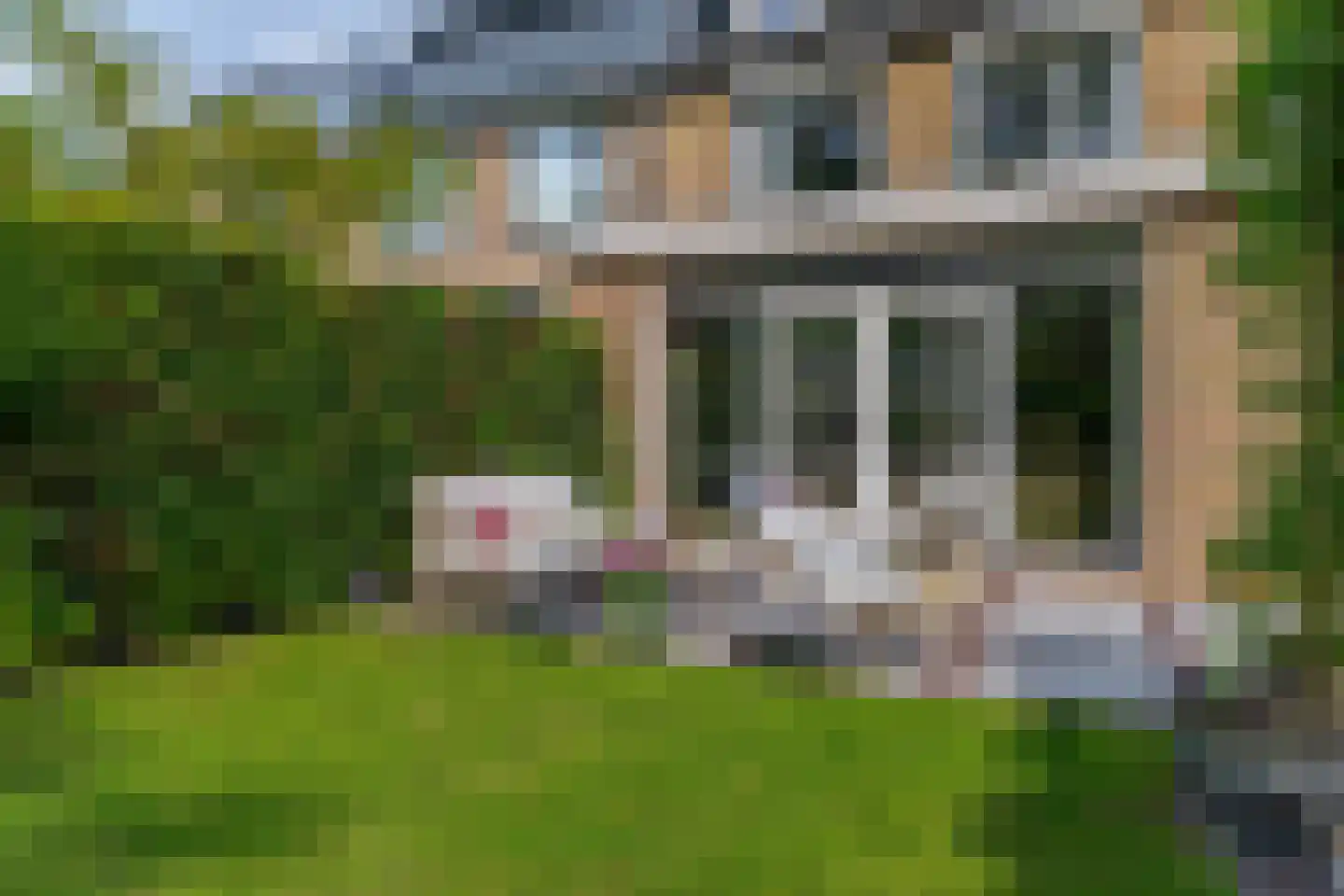 Klimvaren 9 Rotterdam thumbnail 5