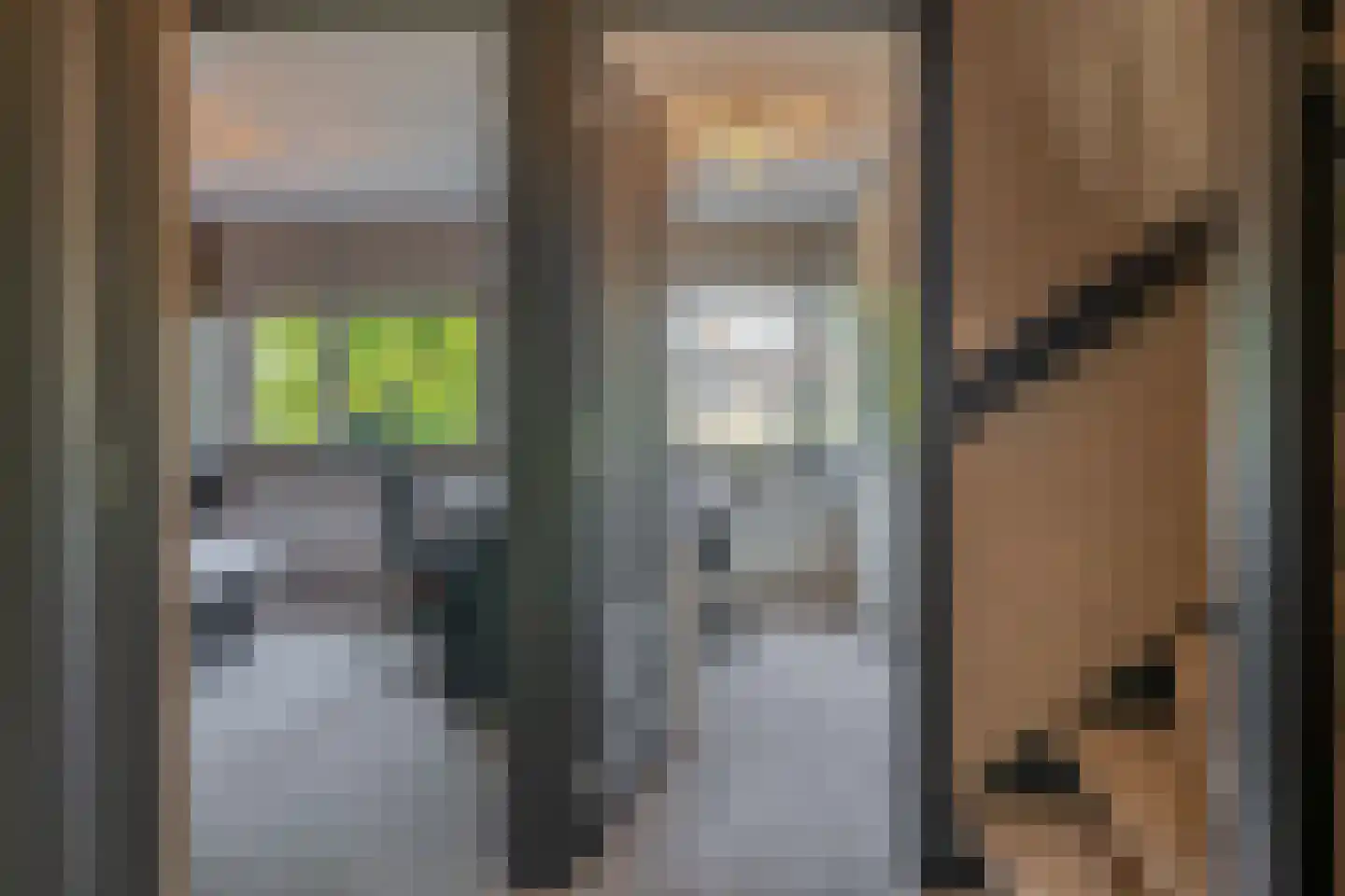Klimvaren 9 Rotterdam thumbnail 50