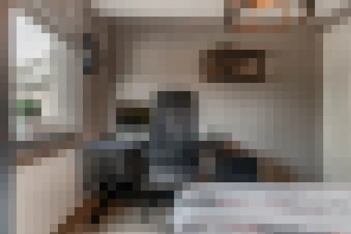 Klimvaren 9 Rotterdam thumbnail 52