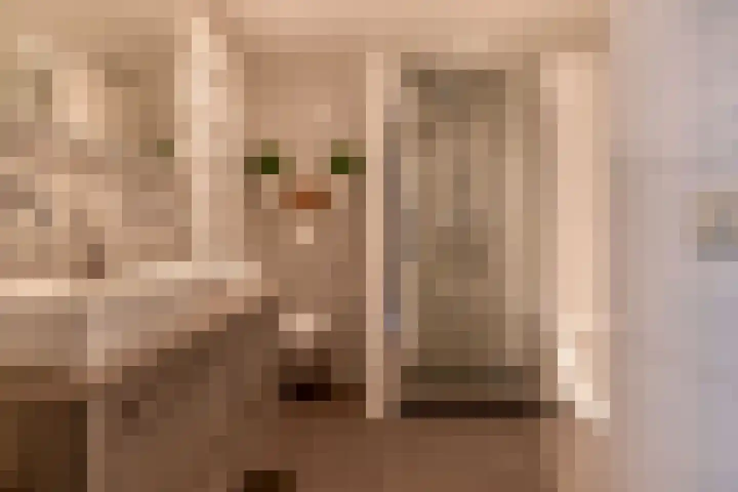 Klimvaren 9 Rotterdam thumbnail 54
