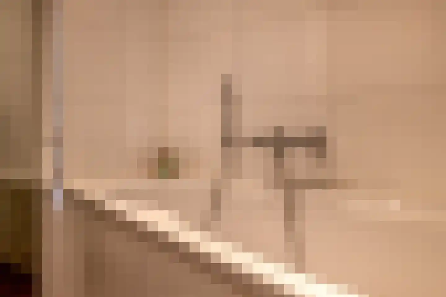 Klimvaren 9 Rotterdam thumbnail 56