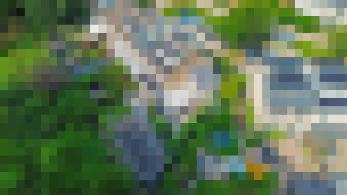 Klimvaren 9 Rotterdam thumbnail 6