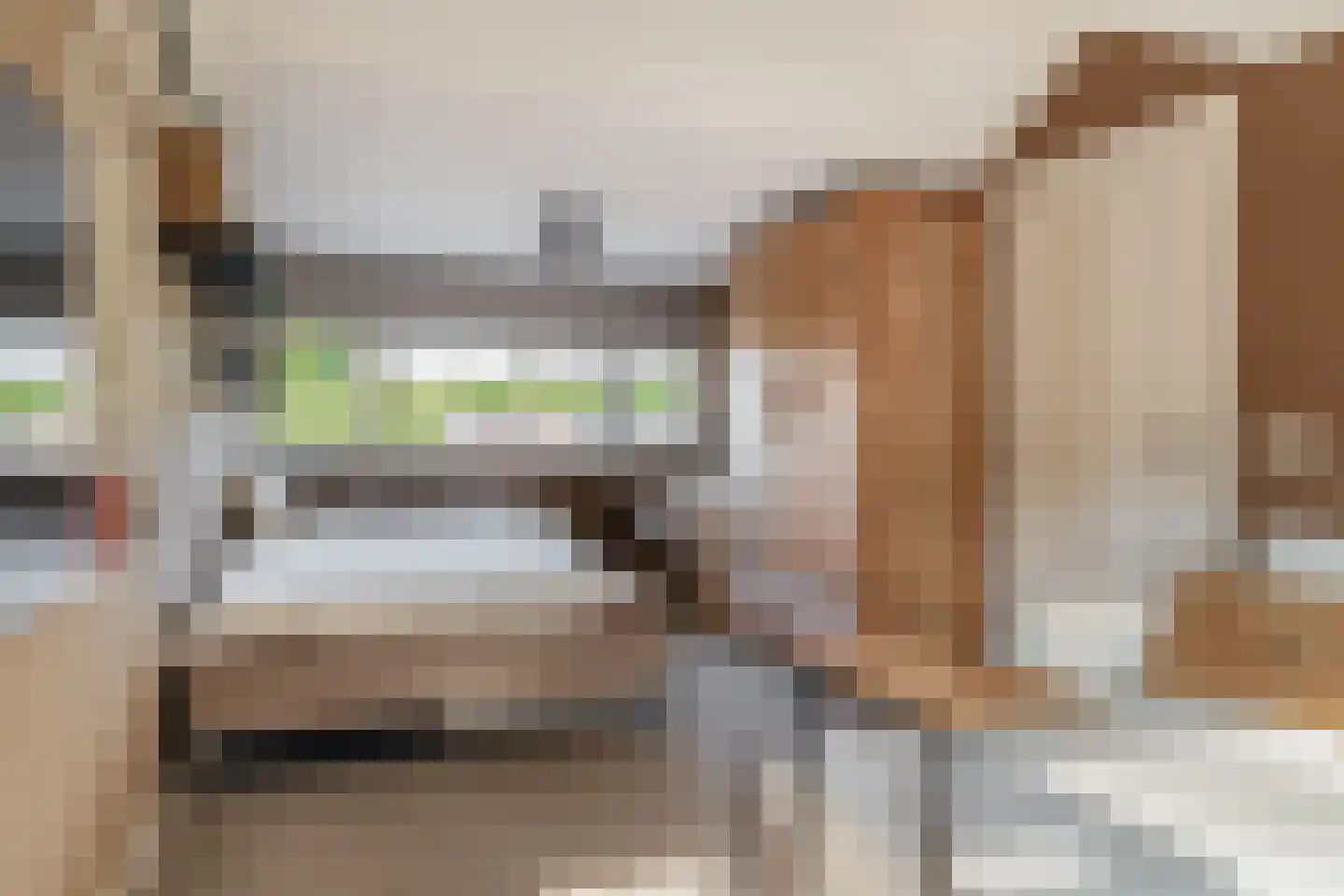Klimvaren 9 Rotterdam thumbnail 60