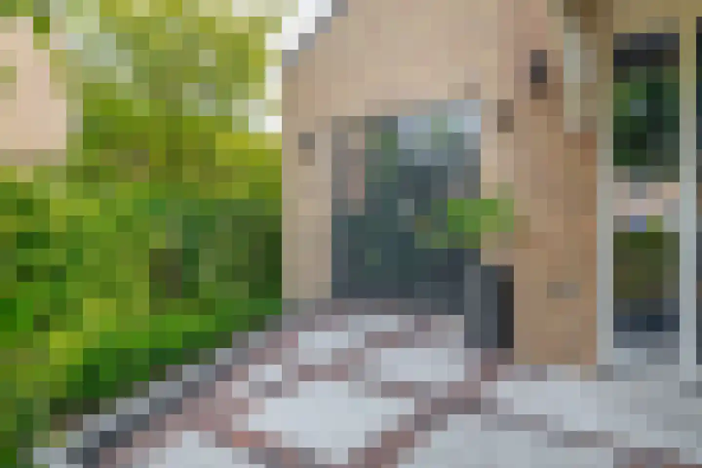 Klimvaren 9 Rotterdam thumbnail 61