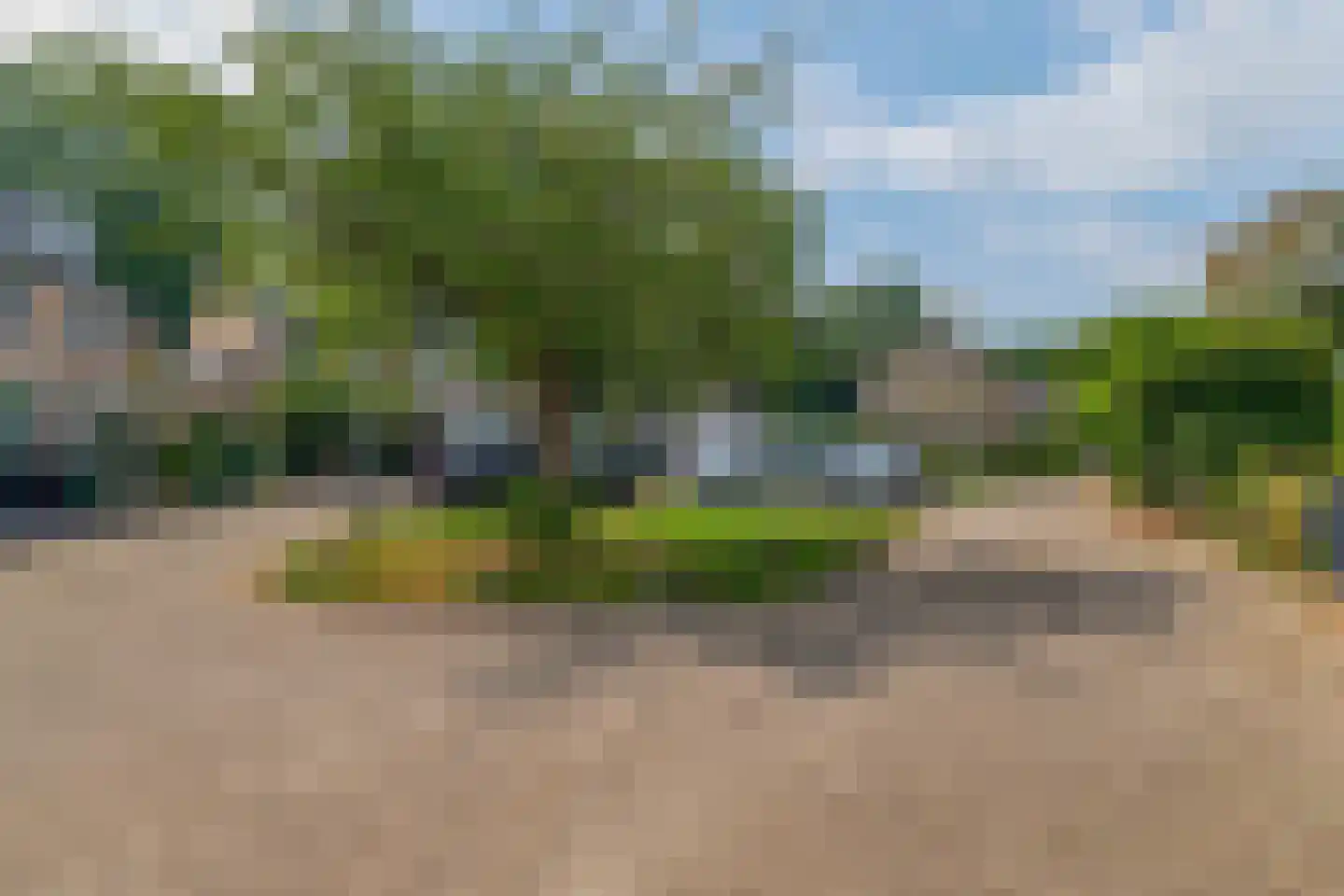 Klimvaren 9 Rotterdam thumbnail 66