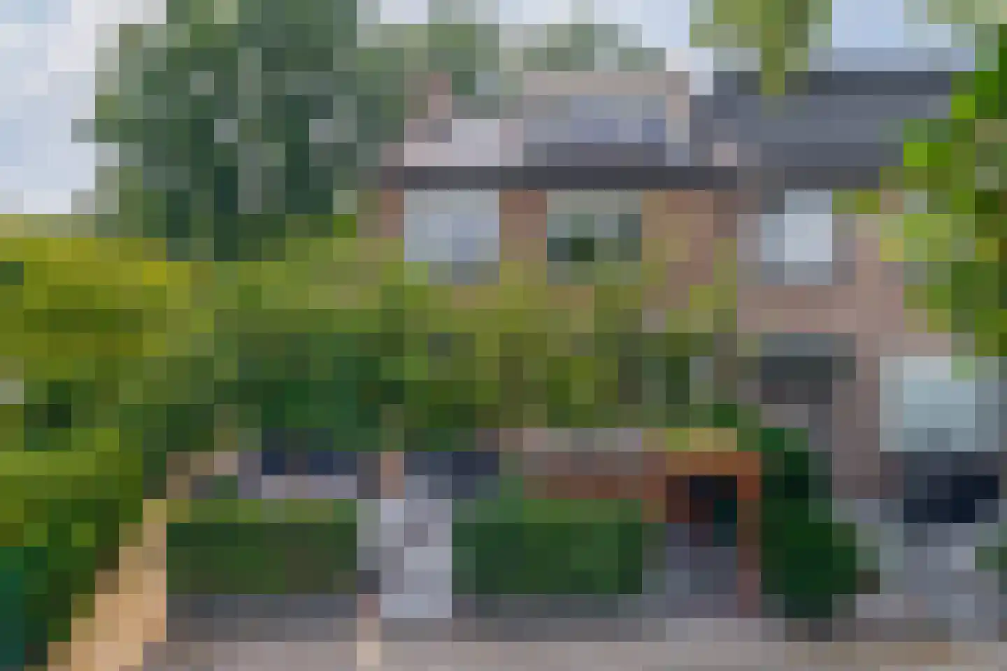 Klimvaren 9 Rotterdam thumbnail 67