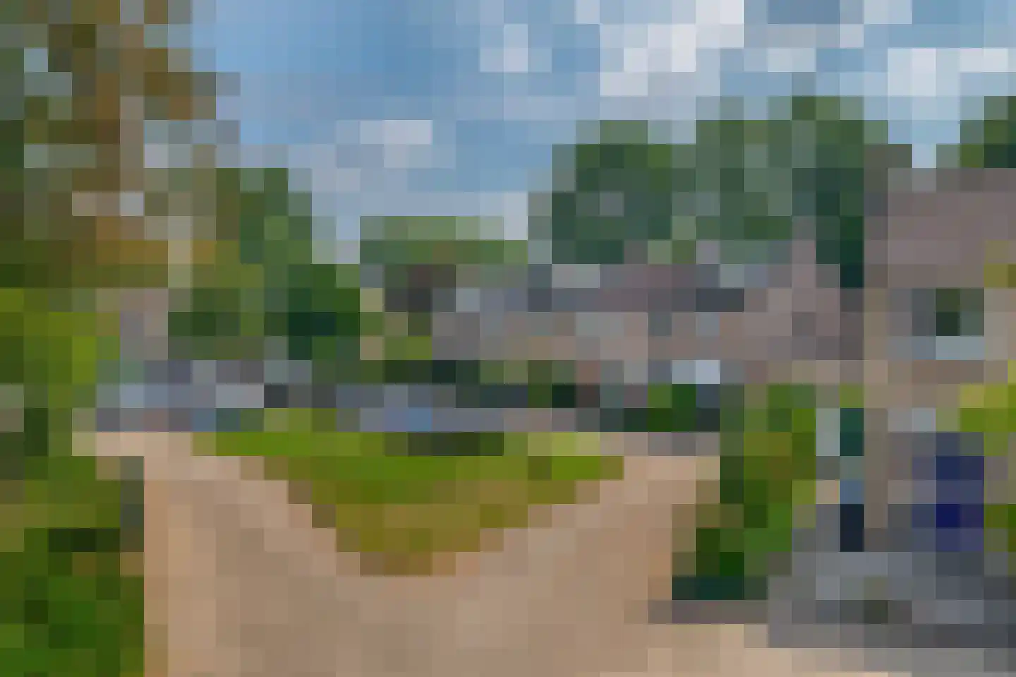 Klimvaren 9 Rotterdam thumbnail 69