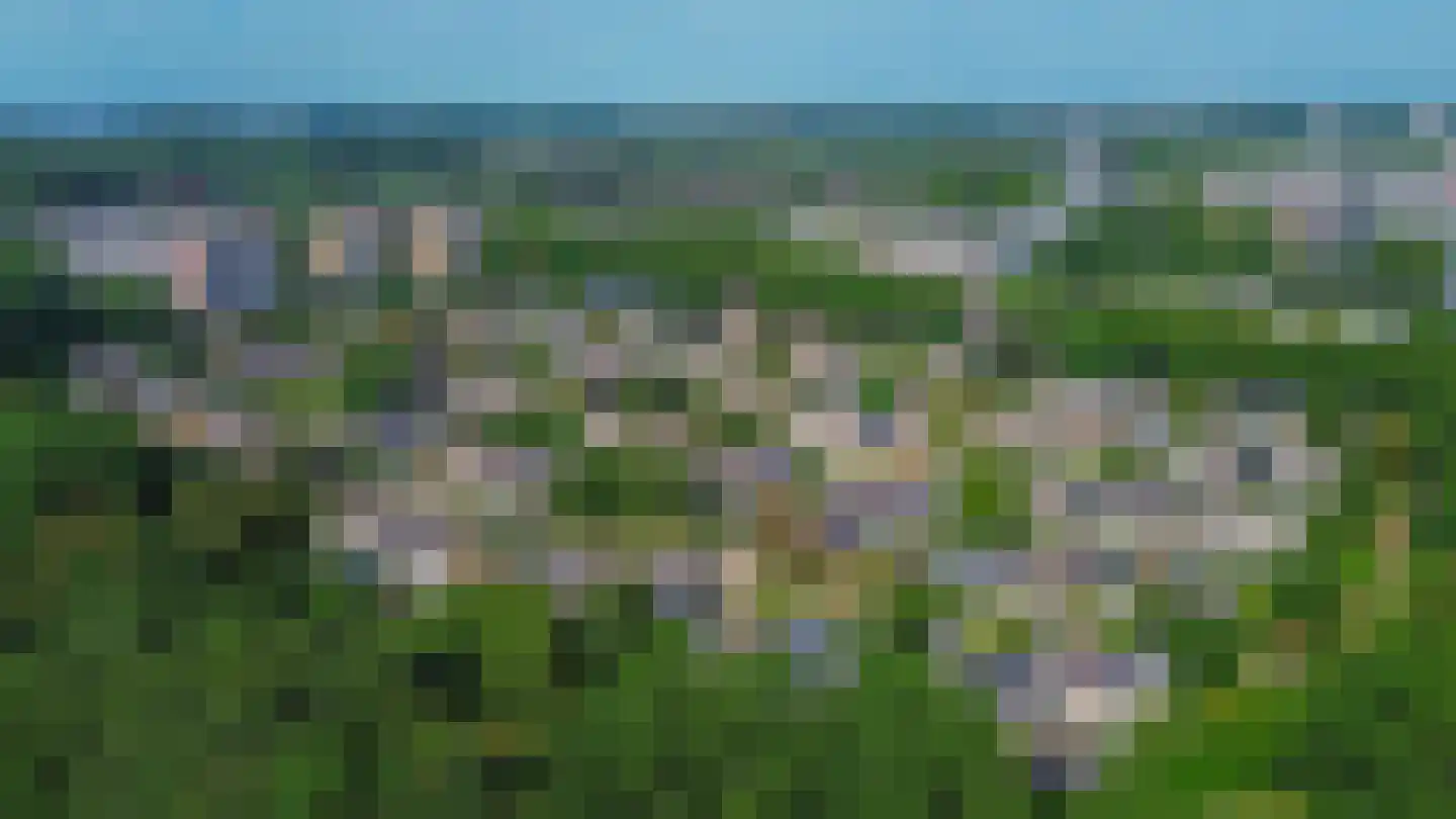 Klimvaren 9 Rotterdam thumbnail 7