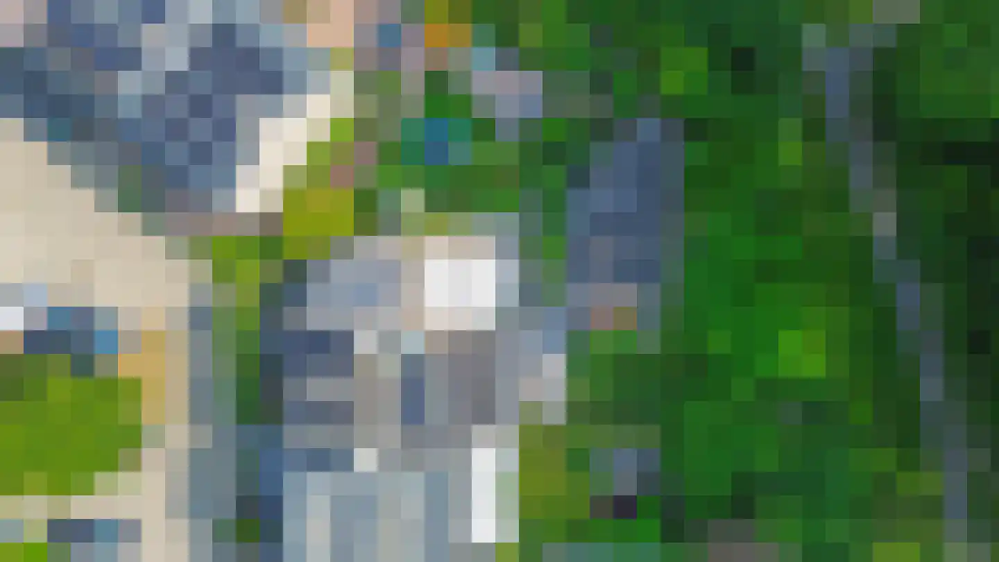Klimvaren 9 Rotterdam thumbnail 70