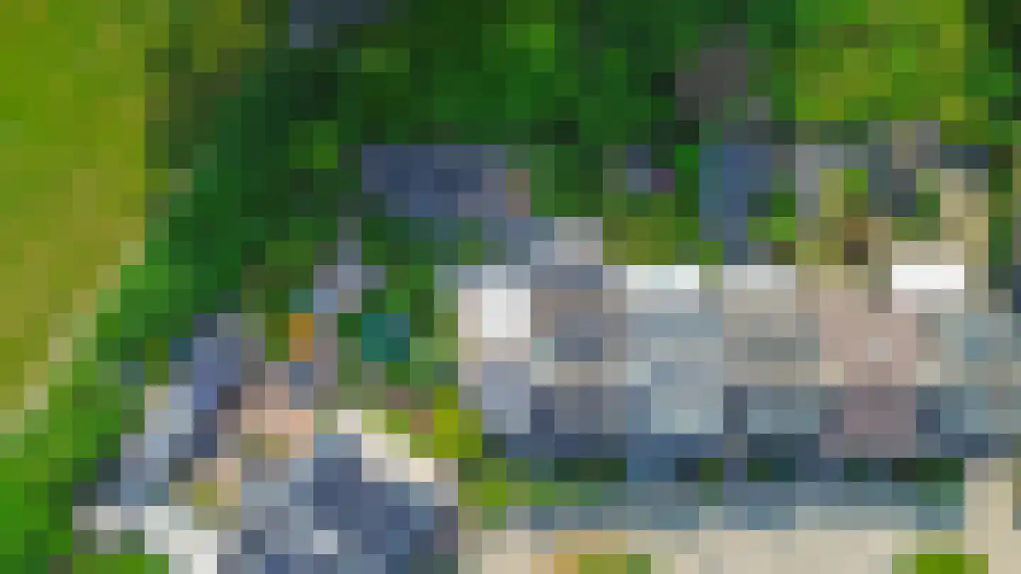 Klimvaren 9 Rotterdam thumbnail 71