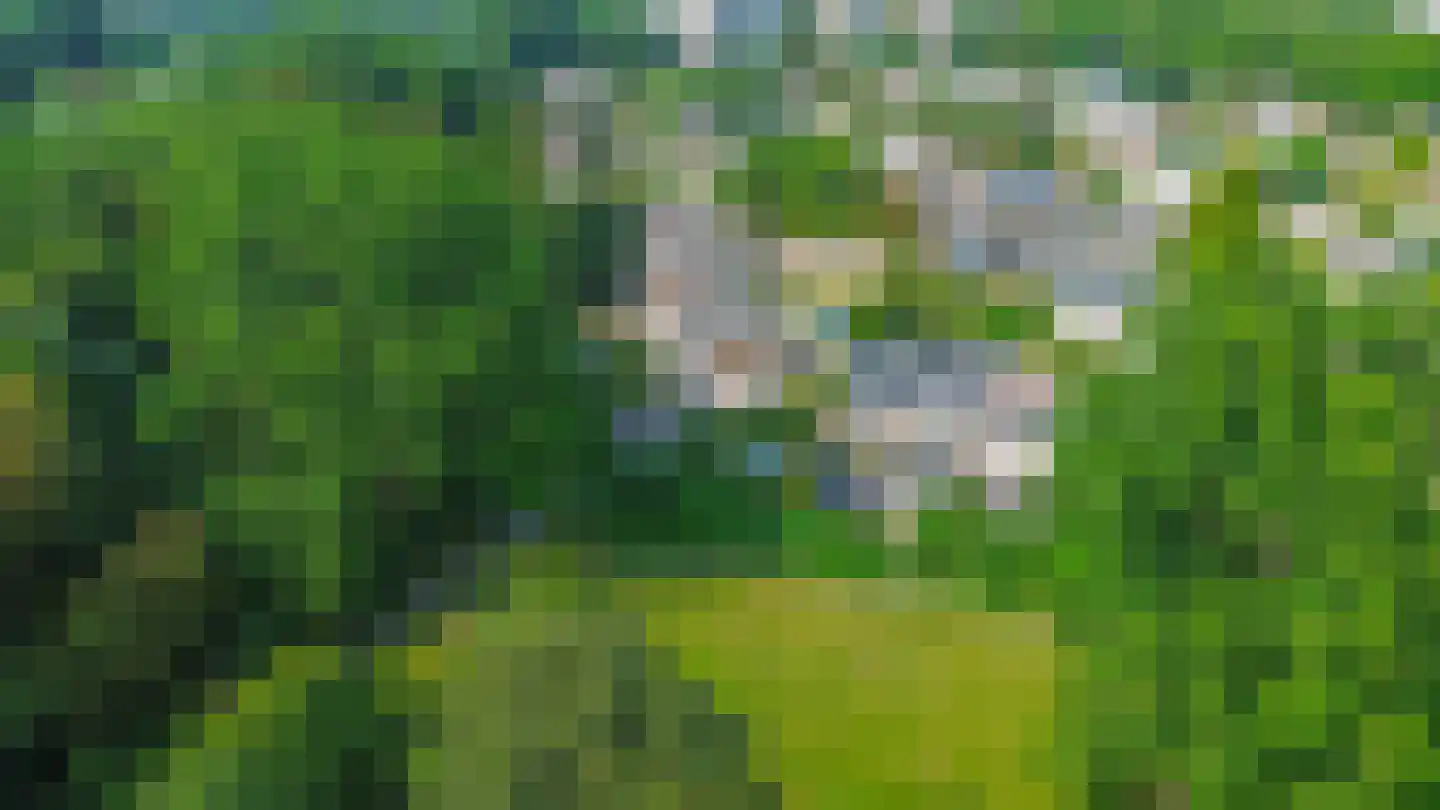 Klimvaren 9 Rotterdam thumbnail 74