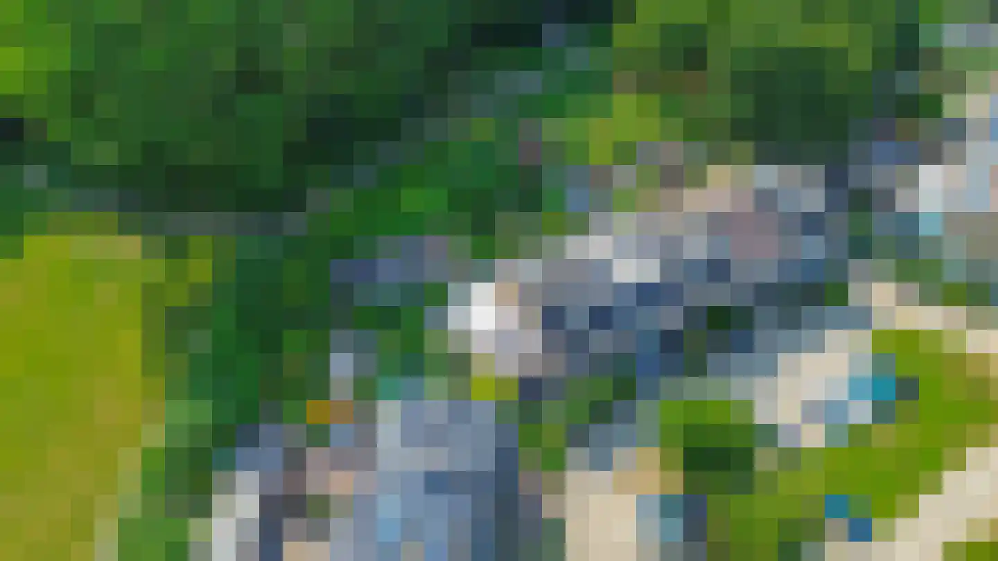 Klimvaren 9 Rotterdam thumbnail 75