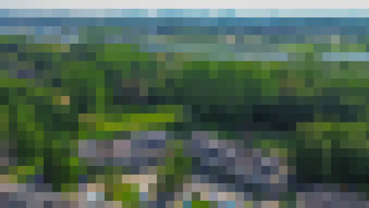 Klimvaren 9 Rotterdam thumbnail 76
