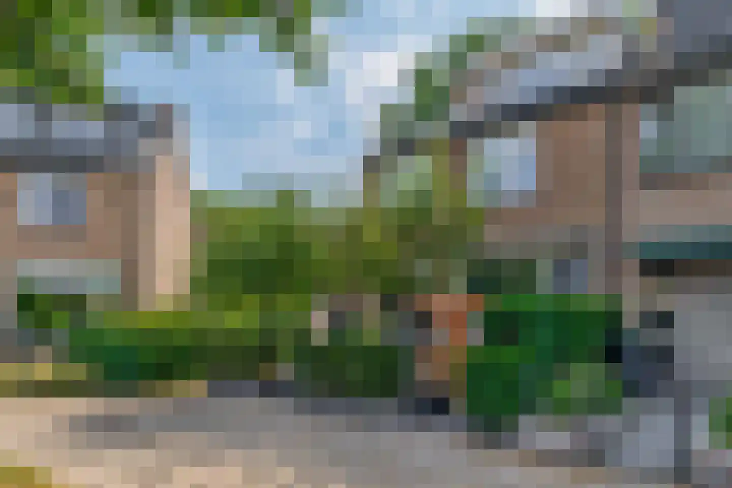 Klimvaren 9 Rotterdam thumbnail 8