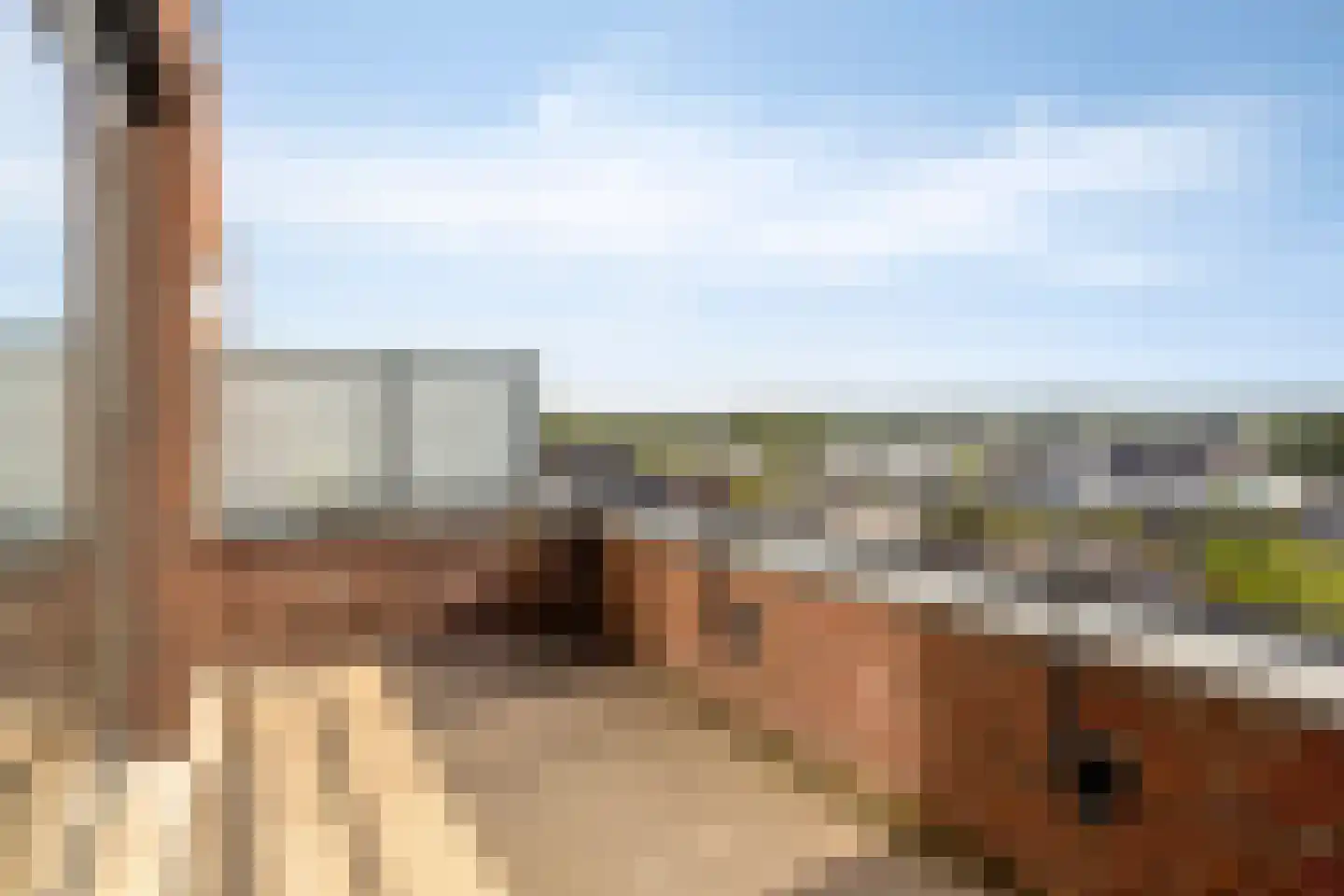 Kling 54 Cuijk thumbnail 10