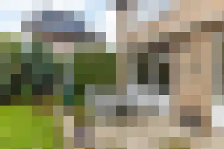 Klingbemden 104 Brunssum thumbnail 34