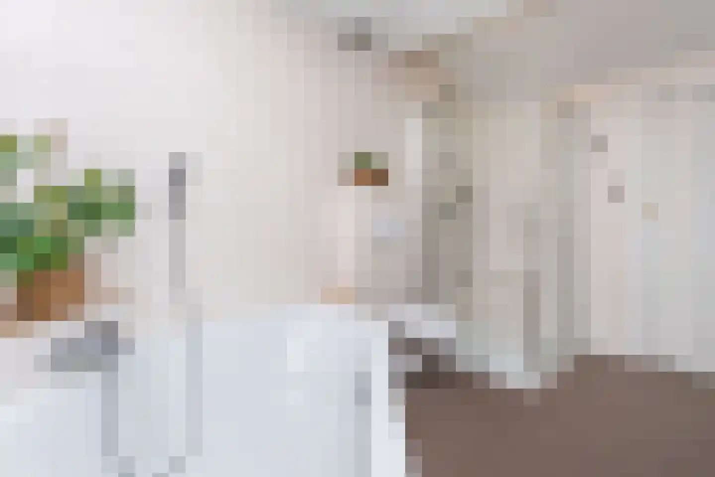 Klingbemden 151 Brunssum thumbnail 22