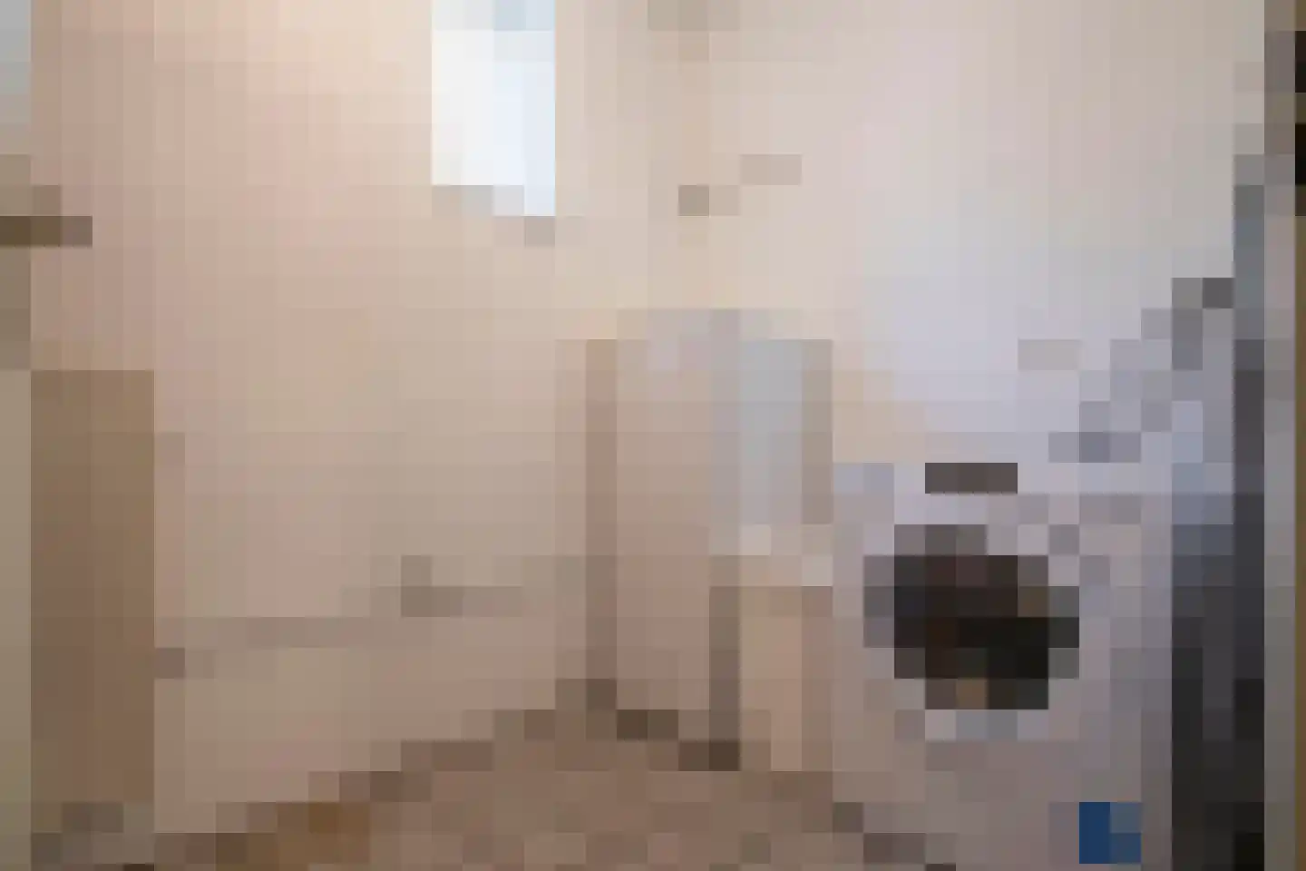 Klingbemden 153 Brunssum thumbnail 22