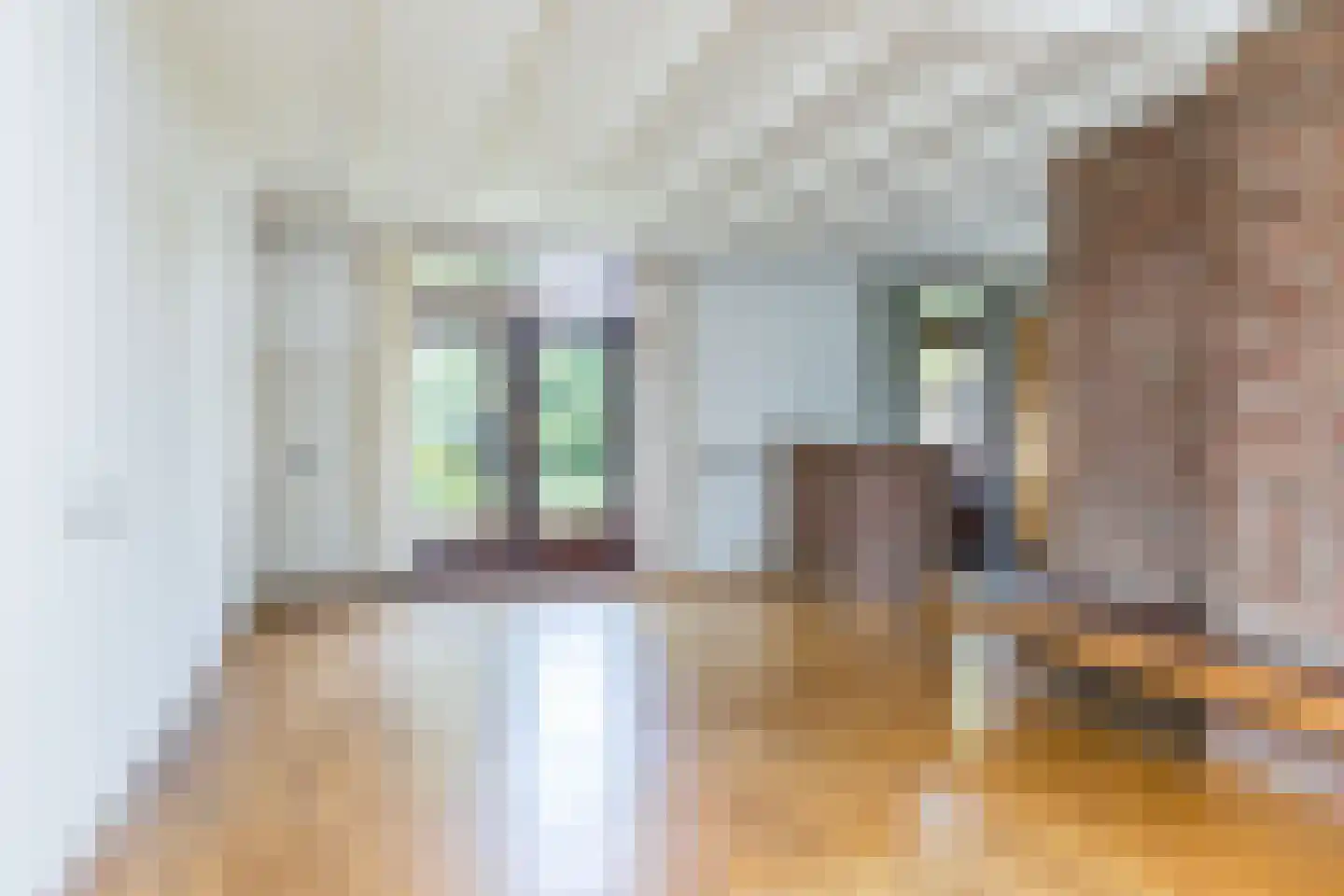 Klingbemden 3 Brunssum thumbnail 4