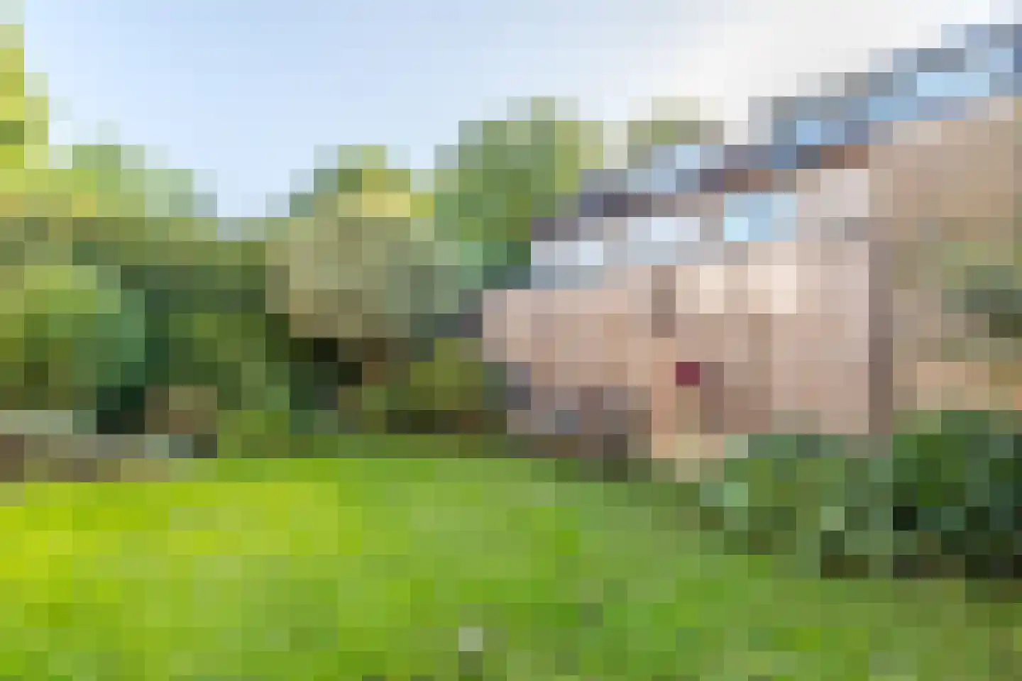 Klingbemden 41 Brunssum thumbnail 34
