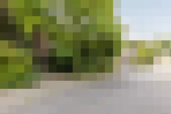 Klingbemden 44 Brunssum thumbnail 21