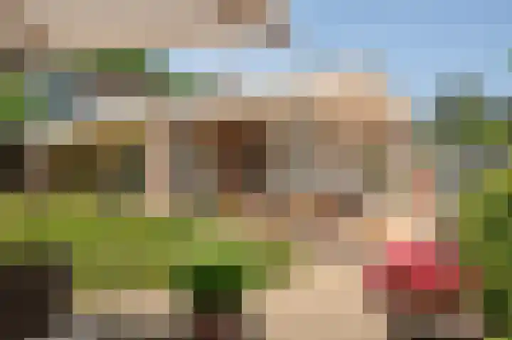 Klingelaan 20 Wassenaar thumbnail 18