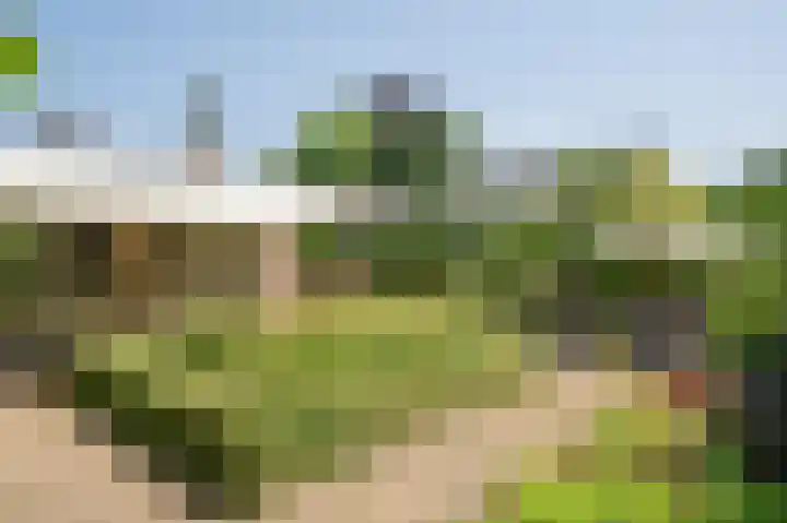 Klingelaan 20 Wassenaar thumbnail 20