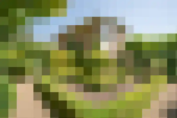 Klingelaan 20 Wassenaar thumbnail 21