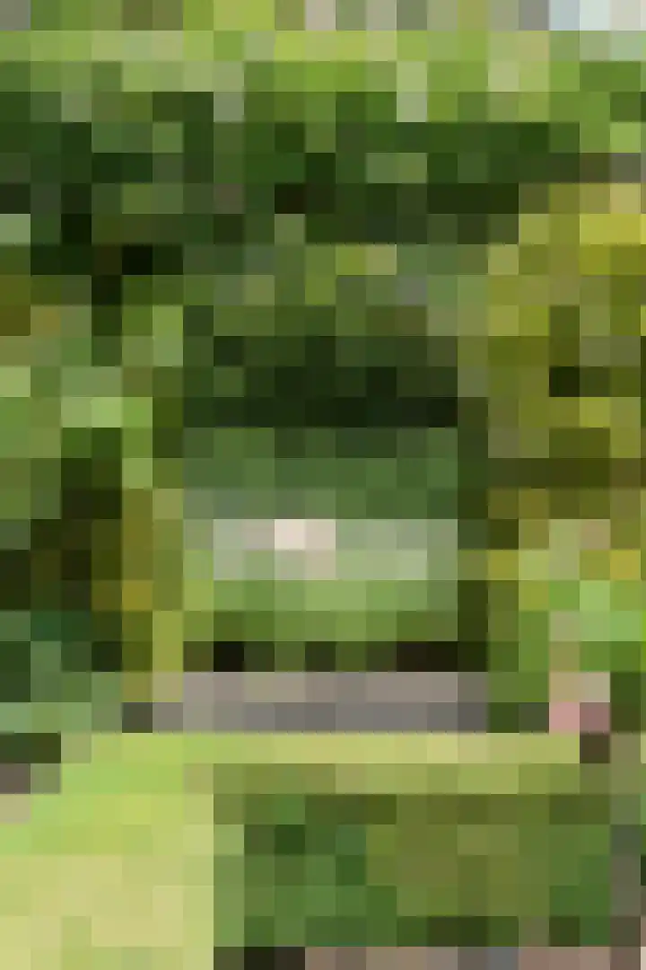 Klingelaan 20 Wassenaar thumbnail 22
