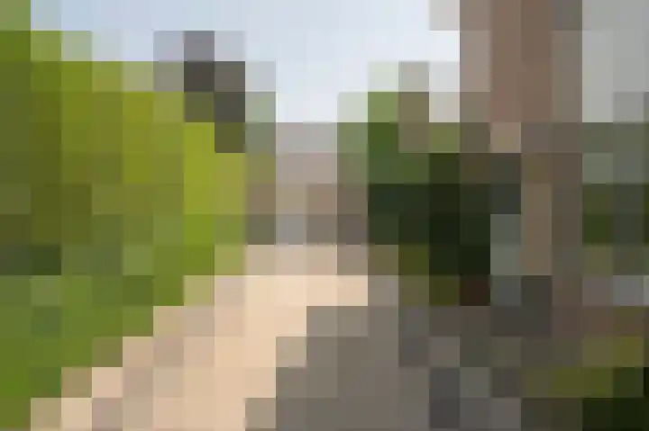 Klingelaan 20 Wassenaar thumbnail 23