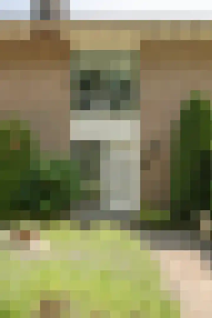 Klingelaan 20 Wassenaar thumbnail 5