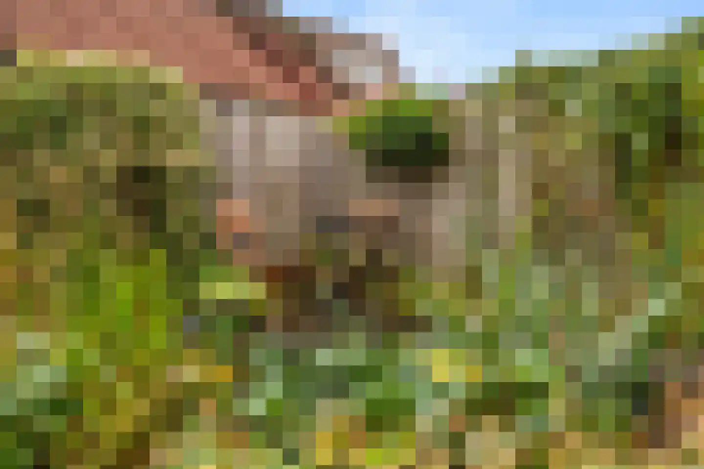 Klingelbeek 20 Ede thumbnail 11