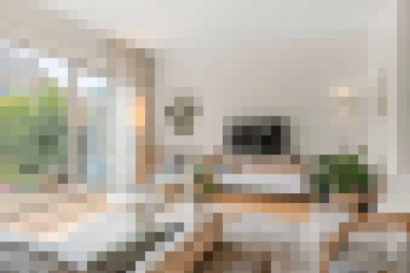 Klingelbeek 20 Ede thumbnail 17