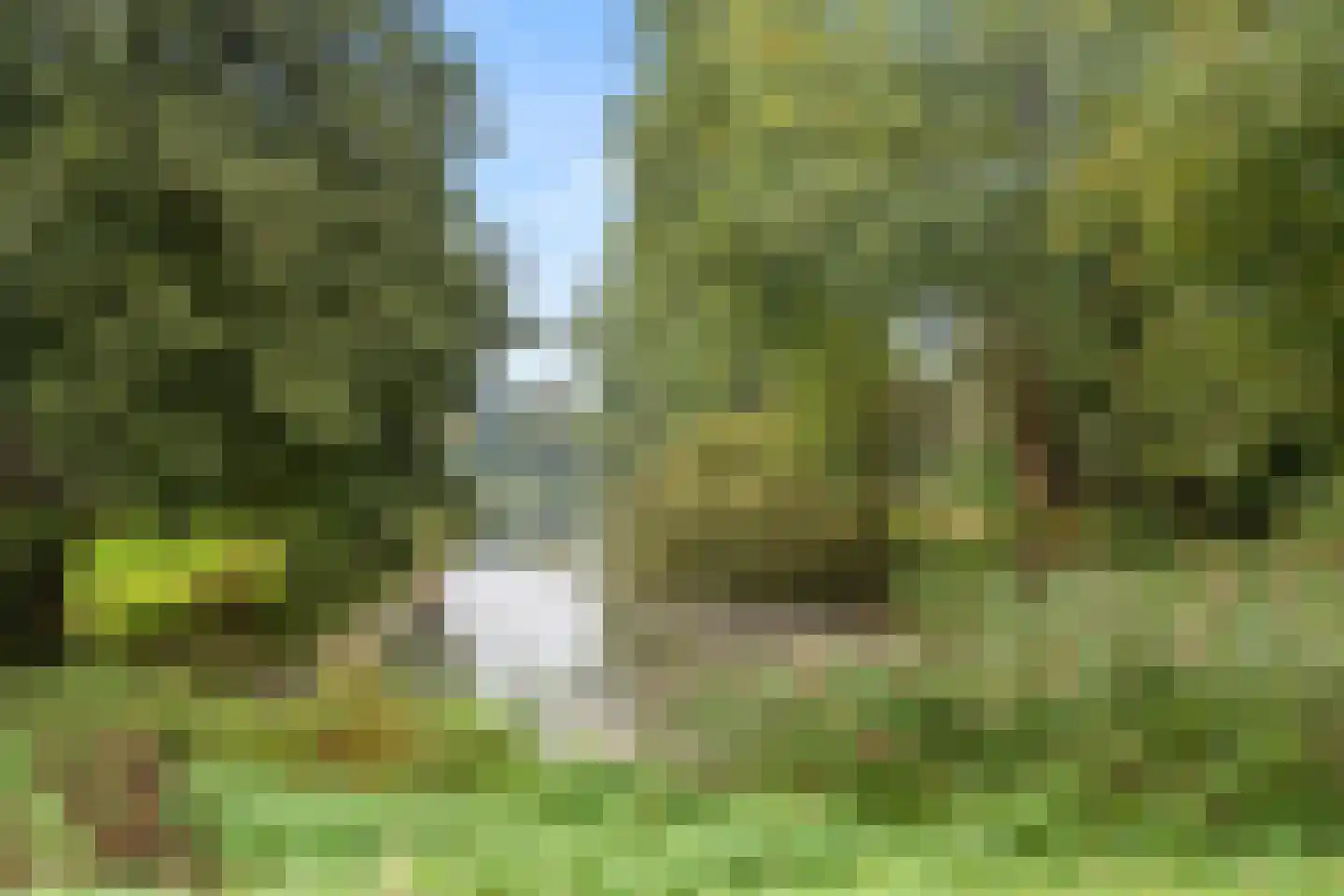 Klingelbeek 20 Ede thumbnail 39